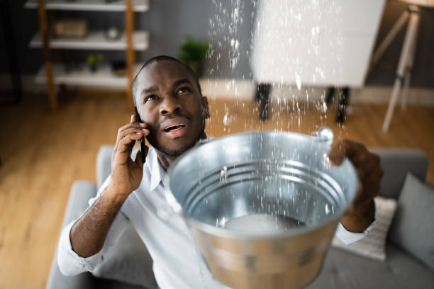 Best Water damage repair service  in Tipton, IA