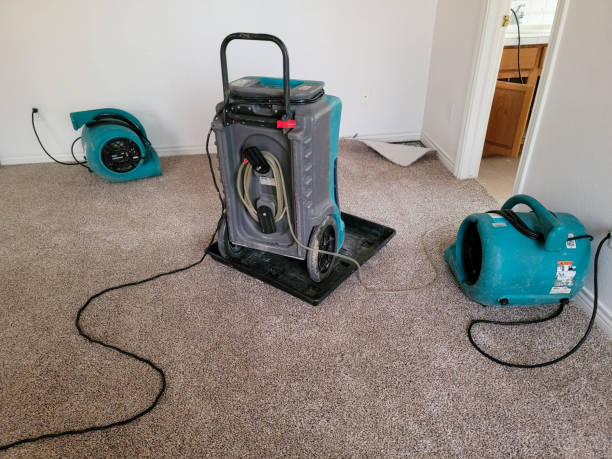 Best Water damage cleanup near me  in Tipton, IA