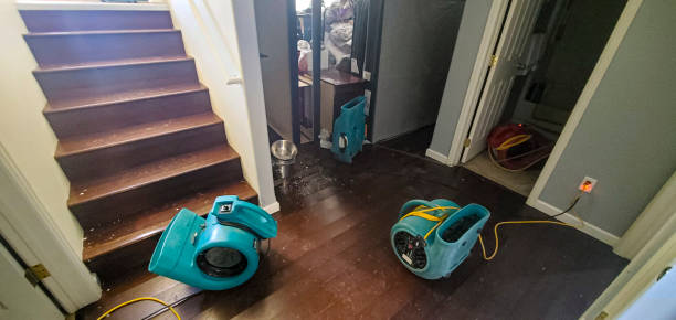 Best Ceiling water damage repair  in Tipton, IA