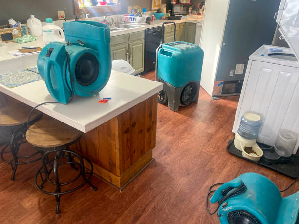Best Water damage contractors near me  in Tipton, IA