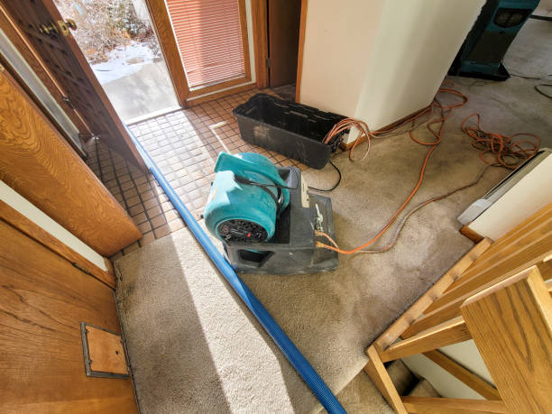 Best Flood damage cleanup  in Tipton, IA