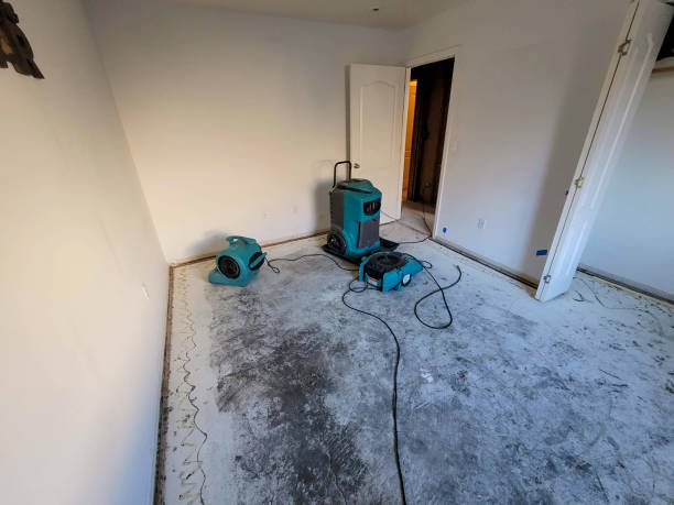 Best Sewage cleanup and water damage restoration  in Tipton, IA