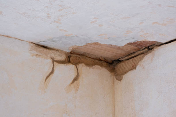 Best Fire Damage Restoration  in Tipton, IA