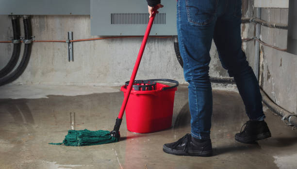 Best Flooded house restoration  in Tipton, IA