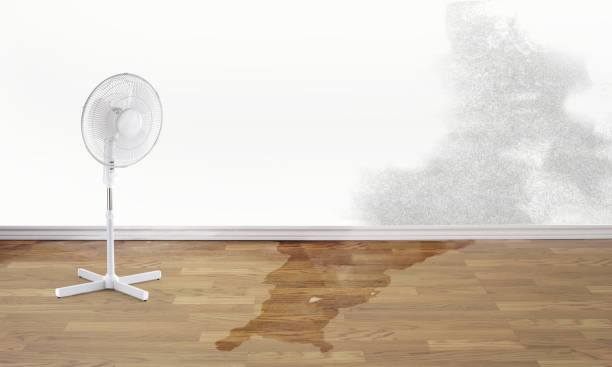 Best Water damage restoration insurance claims  in Tipton, IA