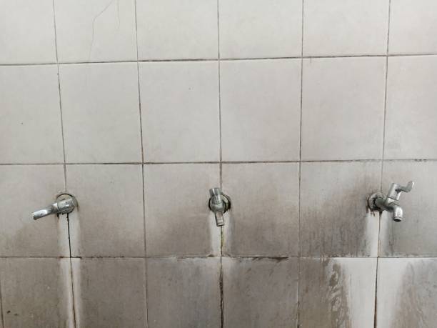 Best Flood damage cleanup  in Tipton, IA