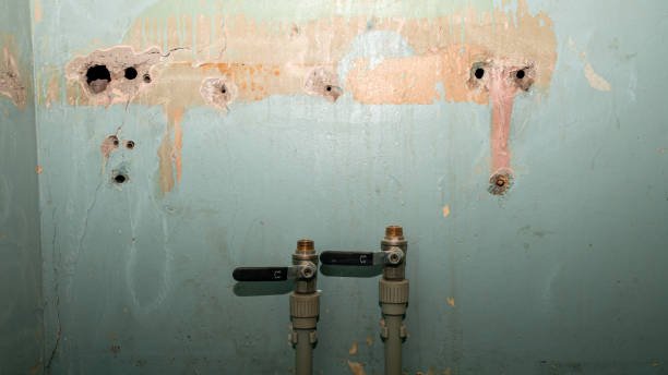Best Water damage restoration near me  in Tipton, IA