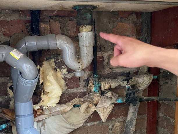 Best Flood restoration services  in Tipton, IA