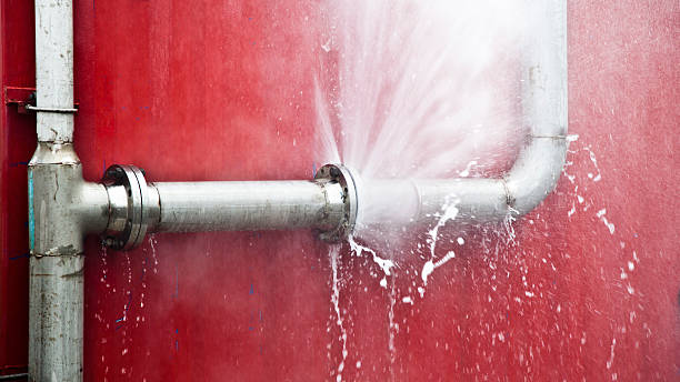Best Water damage contractors near me  in Tipton, IA