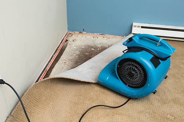Best Water damage restoration company  in Tipton, IA